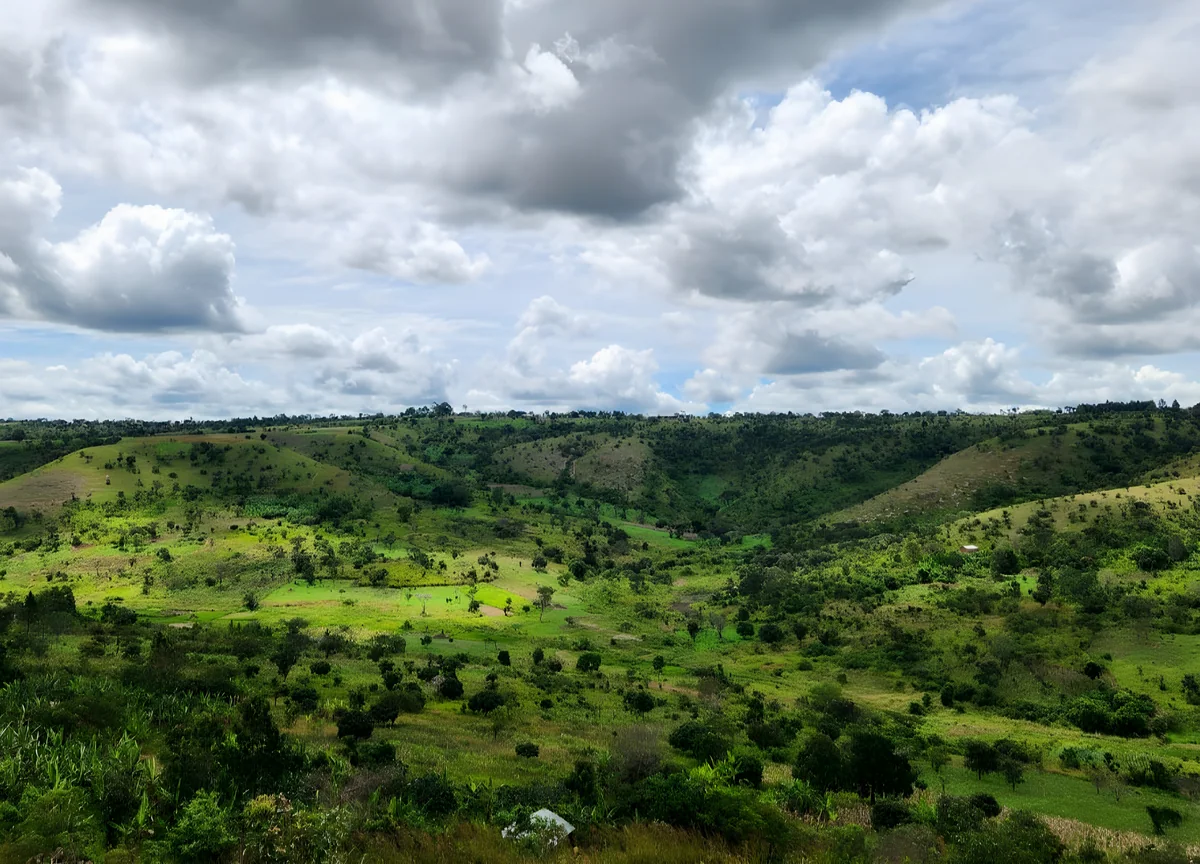 Environmental services landscape