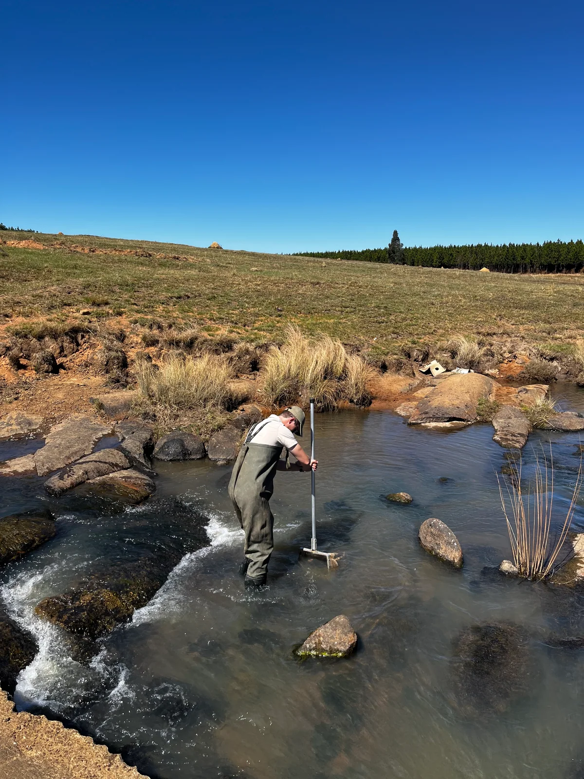 Aquatic ecology field study